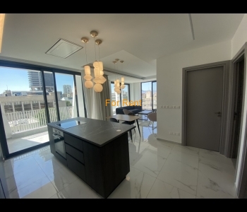 Brand new luxury fully furnished apartment